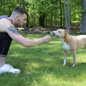 Meet your Posher, Greg